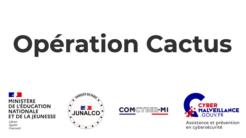 Opération Cactus