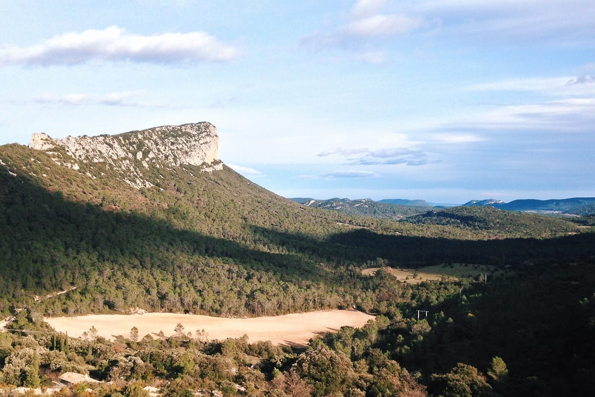 Environnement de Pic Saint-Loup