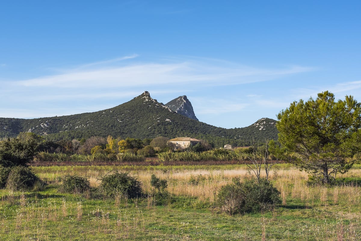 Environnement de Saint-Mathieu-de-Tréviers